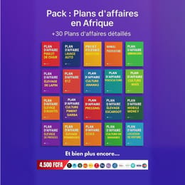 Pack Complet: Plans d'affaires et projets prêts à l'emploi pour réussir en Afrique