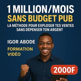 1 Million/Mois Sans Budget Pub : La Méthode Pour Exploser Tes Ventes Sans Dépenser Ton Argent