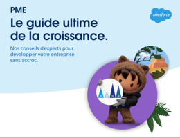 PME Le guide ultime de la croissance.
