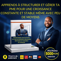 STRATÉGIES DE CROISSANCE DES PETITES ET MOYENNES ENTREPRISES EN AFRIQUE