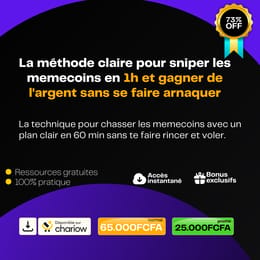 Gagner 200.000 FCFA/mois avec les memecoins sans se faire arnaquer