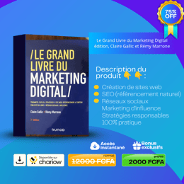 Le Grand Livre du Marketing Digital (Claire Gallic et Rémy Marrone)