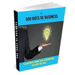 500 IDÉES BUSINESS RENTABLE EN AFRIQUE