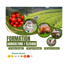 Agriculture & Élevage – Formation Pratique
