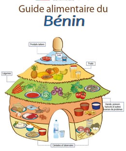 Conseils nutritionnels: Guide alimentaire du Bénin [Légal]