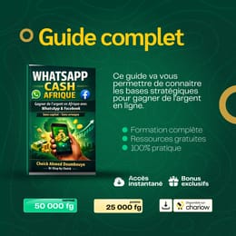STRATÉGIE POUR MONÉTISER EN AFRIQUE VIA WHATSAPP