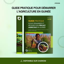 Guide pratique pour démarrer et réussir un projet agricole en Guinée
