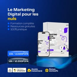 Le Marketing Digital pour les nuls