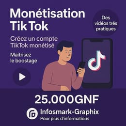 Formation sur la monétisation et bostage des comptes TikTok