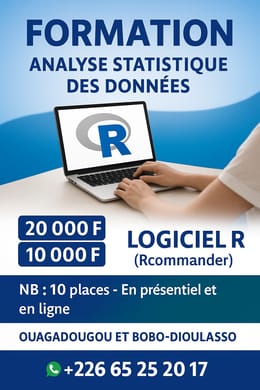 Maîtrisez l'Analyse Statistique avec le Logiciel R – Devenez Expert Rapide