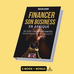 Financer son Business en Afrique (+Répertoire de 50 Opportunités de Financement de Projet)