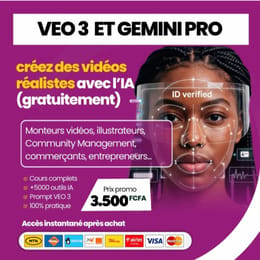 FORMATION COMPLÈTE VEO 3 + GEMINI PRO