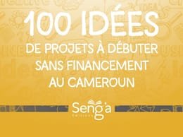 100 idées de  projets à débuter  sans financement en Afrique