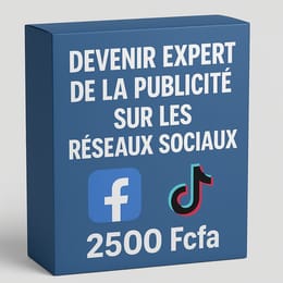DEVENEZ EXPERT DE LA PUBLICITÉ SUR LES RÉSEAUX SOCIAUX