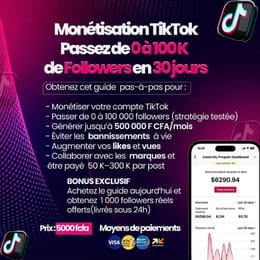 FORMATION TIKTOK AFRIQUE DE 0 À 100K EN 30 JOURS