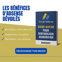 Les bénéfices de Google AdS dévoilés