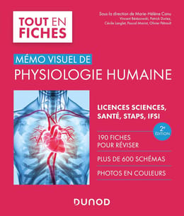 TOUT EN FICHES - MÉMO VISUEL DE PHYSIOLOGIE HUMAINE