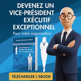 Le guide pratique VPE LEADERSHIP ASSOCIATIF: Vice-Président Exécutif