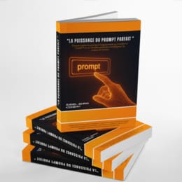La puissance du prompt parfait