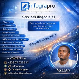 Infographie (conception des visuels)