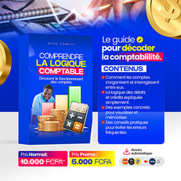 Les Comptes Décryptés : Comprendre enfin la logique comptable