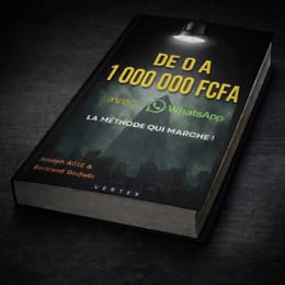 COMMENT PASSER DE 0 A 1.000.000 FCFA  AVEC LA PUBLICITE WHATSAPP DE META EN 2026.