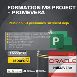 GESTION ET MANAGEMENT DES PROJETS BTP AVEC MS PROJEC T + PRIMAVERA