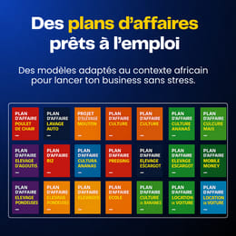 Des plans validés pour entreprendre en Afrique