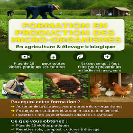 FORMATION A LA PRODUCTION DES MICRO-ORGANISMES