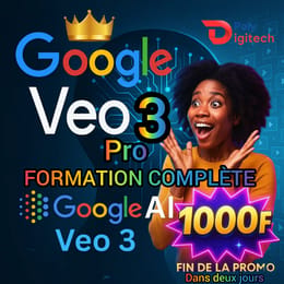 Formation Veo 3