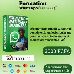 Formation WhatsApp Business