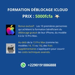 FORMATION DÉBLOCAGE ICLOUD  DU MODÈLE  6 À LA 17 PRO MAX