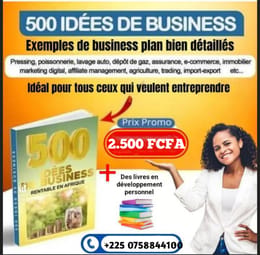 500 IDÉES DE BUSINESS POUR ENTREPRENDRE