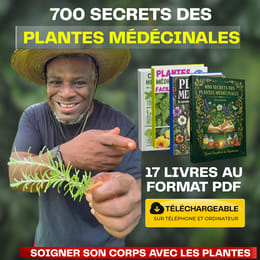Pack Santé Plus - 700 remèdes naturels pour rester en meilleure santé malgré l'âge (17 livres PDF)