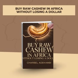 Buy Raw Cashew in Africa without losing a dollar
