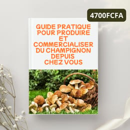 Produire et Vendre des Champignons Rentables – Le Guide Pratique Complet
