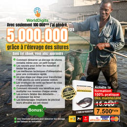 COMMENT REUSSIR DANS L'ELEVAGE DES SILURES ET GAGNER TON PREMIER MILLION