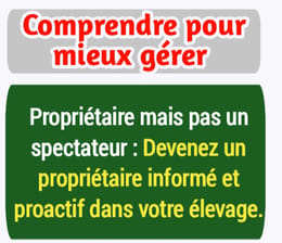 Sauvons les propriétaire de ferme de volailles