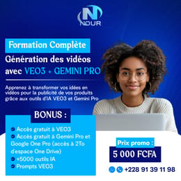 FORMATION VO3 ET GEMINI PRO