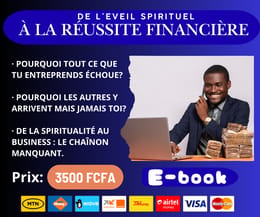 GUIDE DE L’ENTREPRENEUR AFRICAIN: DE L’ÉVEIL SPIRITUEL À LA RÉUSSITE FINANCIÈRE.