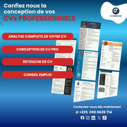 CZ CONSULTING CV PRO
