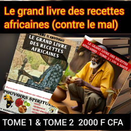 Le grand livre des recettes africaines 1-2