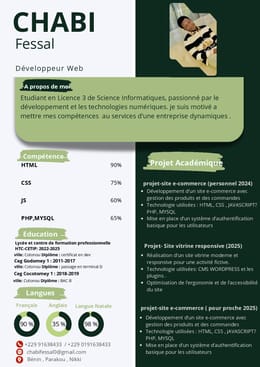 CV PROFESSIONNEL MODIFIABLE (3)