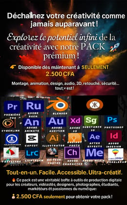 FORMATION en Montage vidéo, animation, design, audio, 3D, retouche, sécurité..