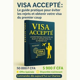 VISA ACCEPTÉ ✅ – Le guide pratique pour éviter les rejets et obtenir ton visa du premier coup ✈️