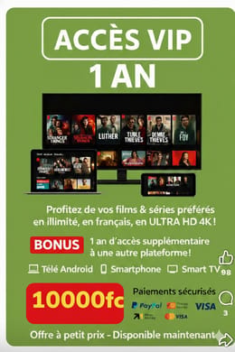 Acces videos netflix,canal+,primevideo etc.