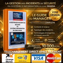LA GESTION DES INCIDENTS DE  SECURITE DU  SYSTEME D’INFORMATION EN ZONE OHADA