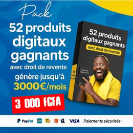 100 LOGICIELS PREMIUM À VIE