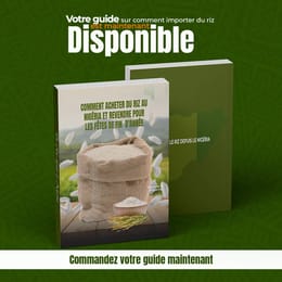Comment acheter du riz au Nigéria et revendre en période de fêtes.