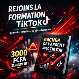 Gagne de l'argent avec Tiktok : Formation complète de Débutant à Expert